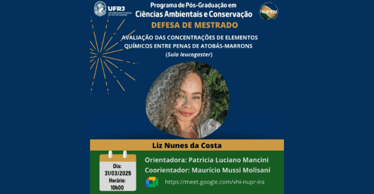 Leia mais sobre o artigo 171ª Defesa de Mestrado do PPG-CiAC: Liz Nunes da Costa