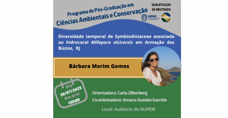 Leia mais sobre o artigo Qualificação de Mestrado de Bárbara Morim Gomes