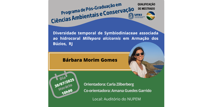 Qualificação de Mestrado de Bárbara Morim Gomes