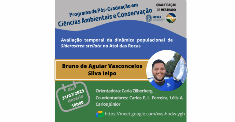 Leia mais sobre o artigo Qualificação de Mestrado de Bruno de Aguiar Vasconcelos Silva Ielpo
