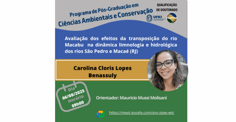 Leia mais sobre o artigo Qualificação de Doutorado de Carolina Cloris Lopes Benassuly