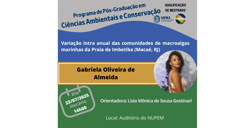 Qualificação de Mestrado de Gabriela Oliveira de Almeida