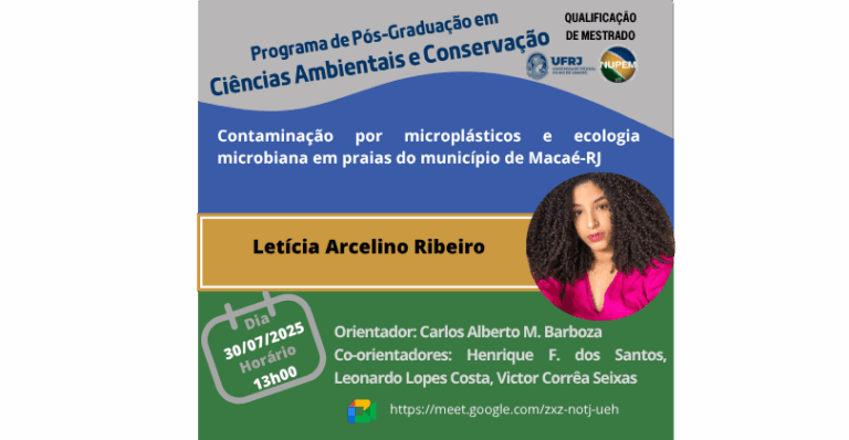 Leia mais sobre o artigo Qualificação de Mestrado de Letícia Arcelino Ribeiro