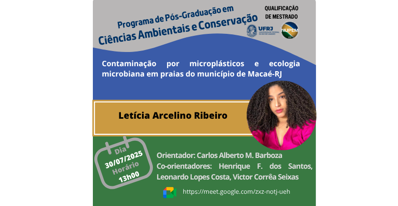 Qualificação de Mestrado de Letícia Arcelino Ribeiro