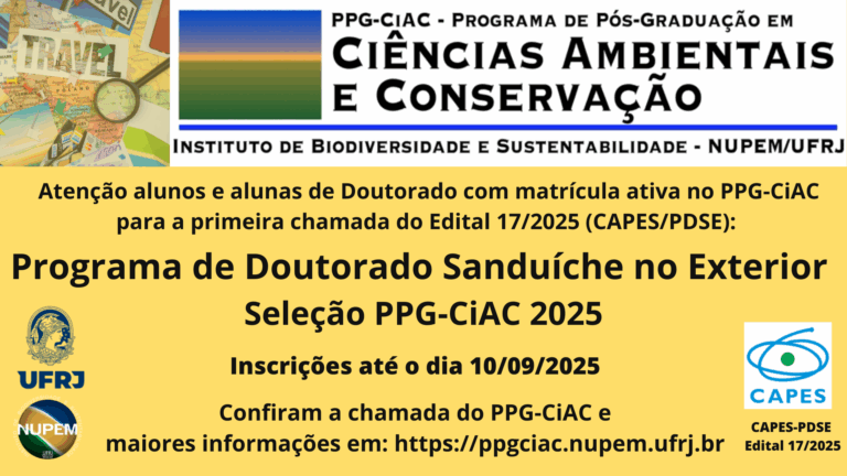 Leia mais sobre o artigo Seleção de bolsista do “Programa Institucional de Doutorado Sanduíche no Exterior” (Edital CAPES 17/2025)