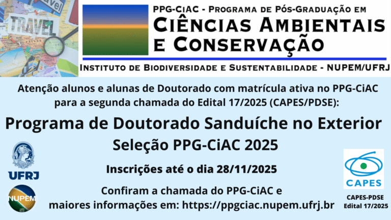 Leia mais sobre o artigo Seleção de bolsista para a Segunda Chamada do “Programa Institucional de Doutorado Sanduíche no Exterior” (Edital CAPES 17/2025)